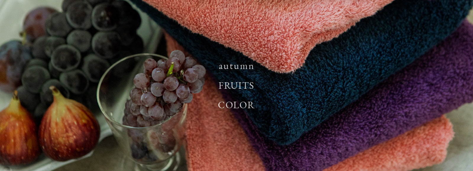 FRUITS COLOR COLLECTION