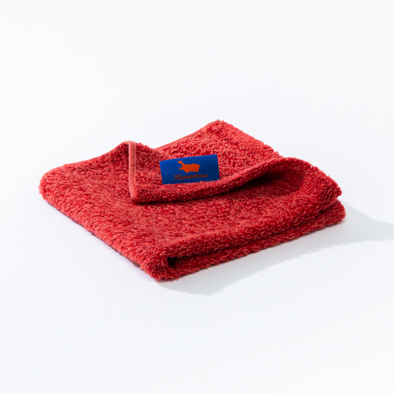 WASH TOWEL｜ウォッシュタオル